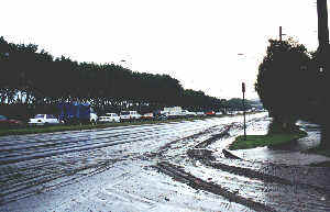 Springhill Road, Port Kembla, covered in slimey mud